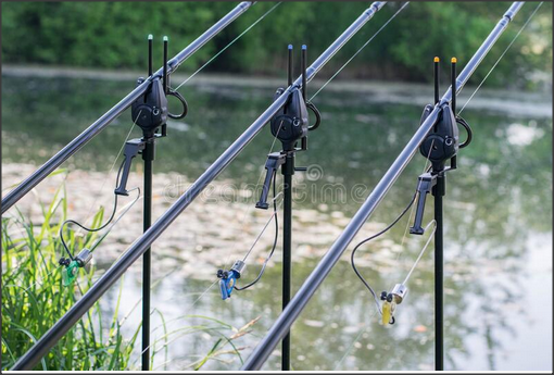Top 5 Bite Alarms for Fishing