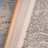 Open dictionary pages representing language targeting in Google Ads